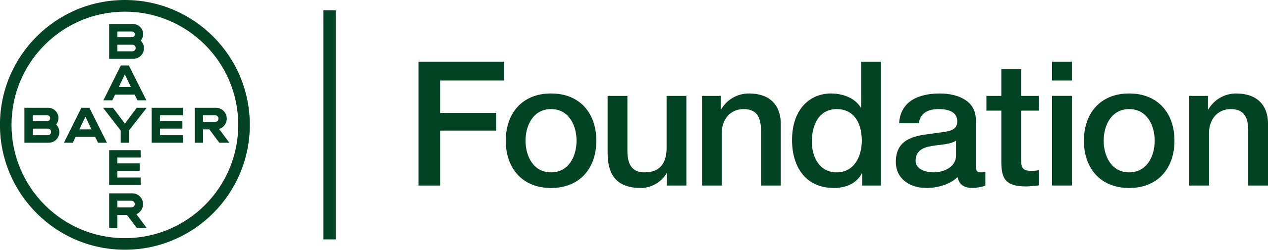 Imagem da logo da Bayer Foundation.